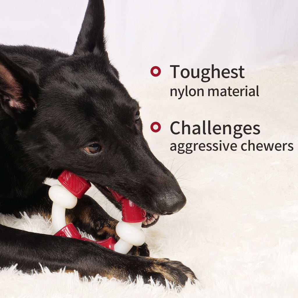 FrienHund Extra Tough Beef Flavor Chew Resistant Nylon Dog Toy, Red & White, 1 count