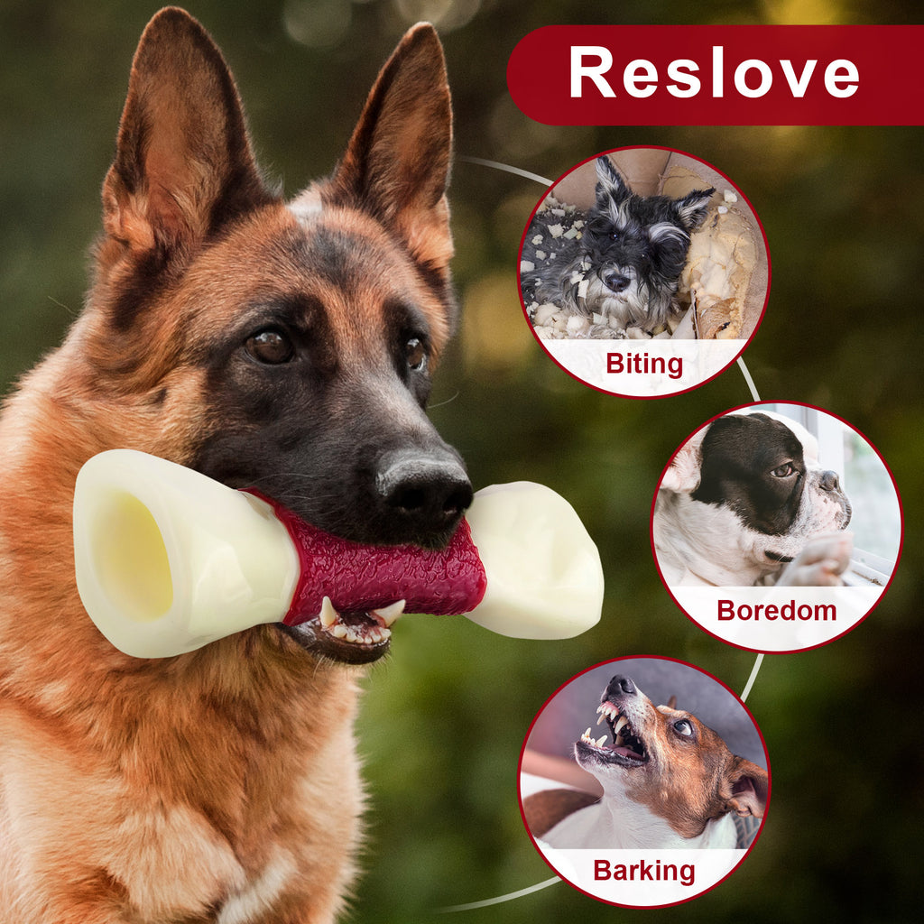 FrienHund Aggressive Chewers Beef Flavor Solid Nylon Chew Bone Dog Toy, Brown, 1 count