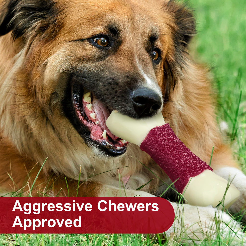 FrienHund Aggressive Chewers Beef Flavor Solid Nylon Chew Bone Dog Toy, Brown, 1 count