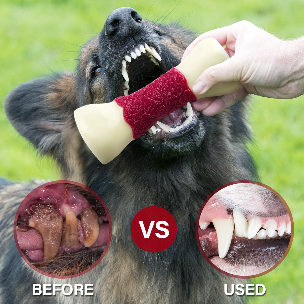 FrienHund Aggressive Chewers Beef Flavor Solid Nylon Chew Bone Dog Toy, Brown, 1 count