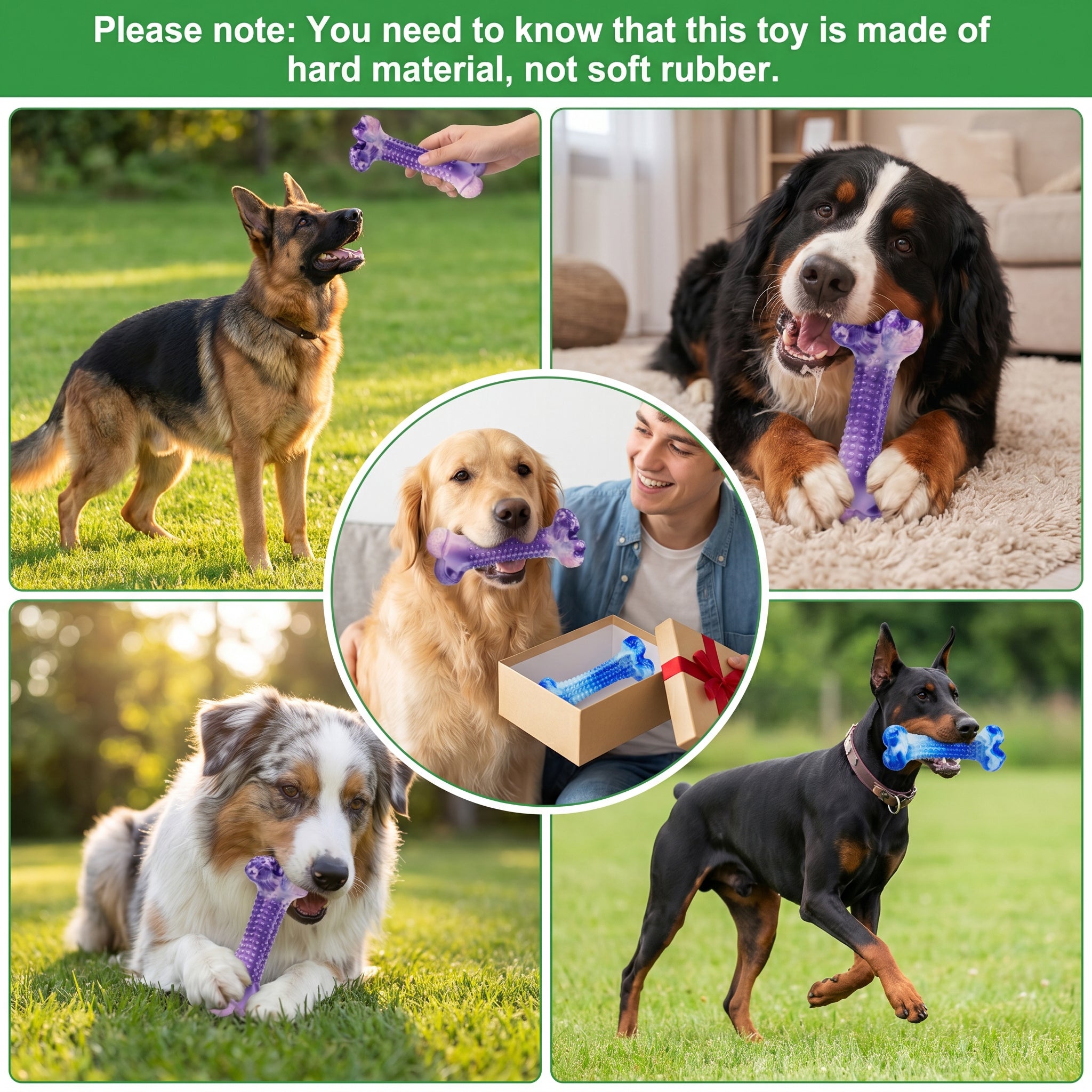 Frienhund Beef Flavor Classic Textured Nylon Chew Bone for Dogs, Purple & Blue, 2 Count