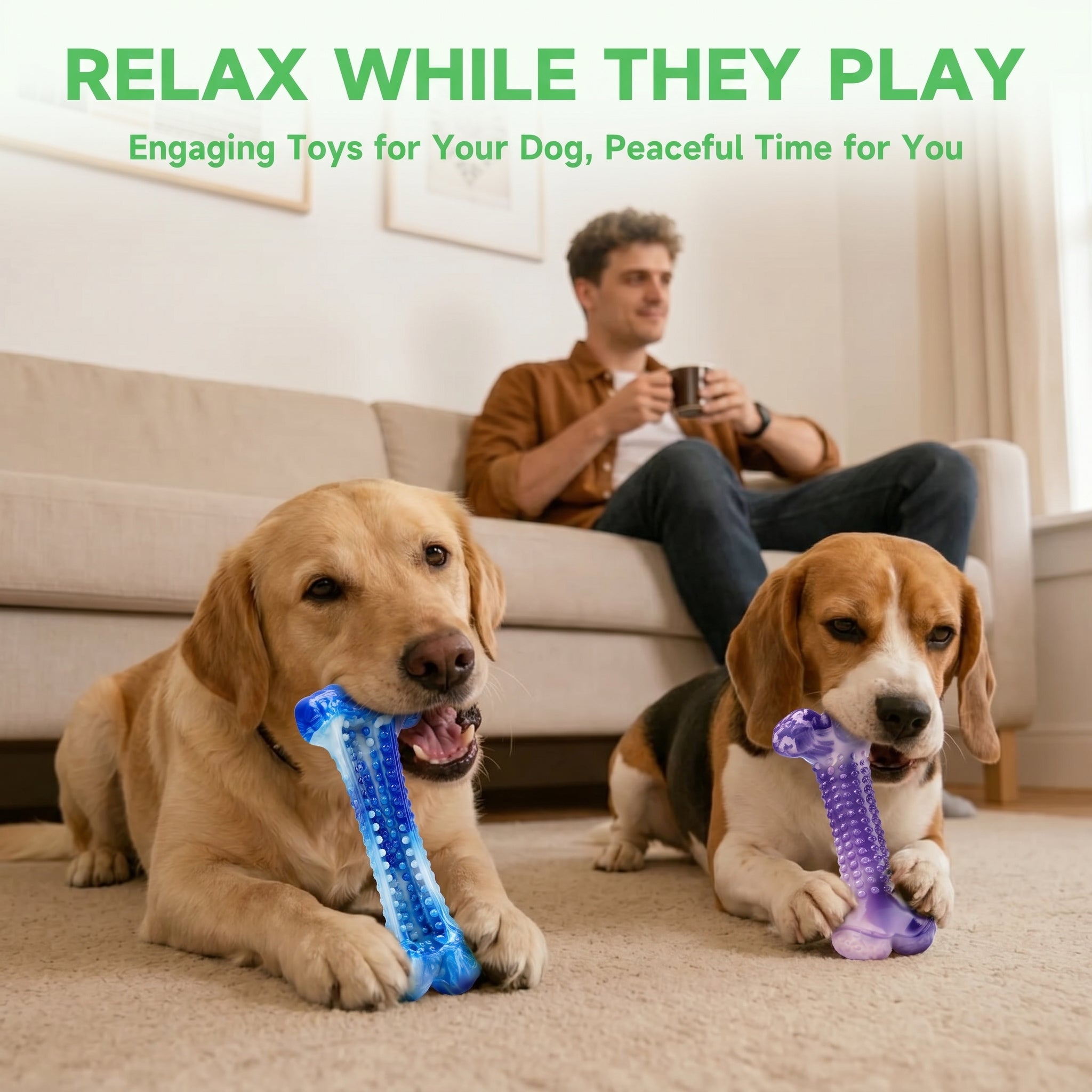 Frienhund Beef Flavor Classic Textured Nylon Chew Bone for Dogs, Purple & Blue, 2 Count