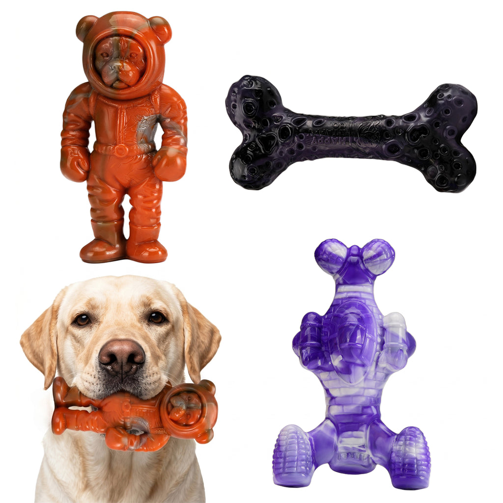 Frienhund Beef Flavor Tough Nylon Dog Chew Toy, Mixed Purple & Blue & Orange, 3 Count