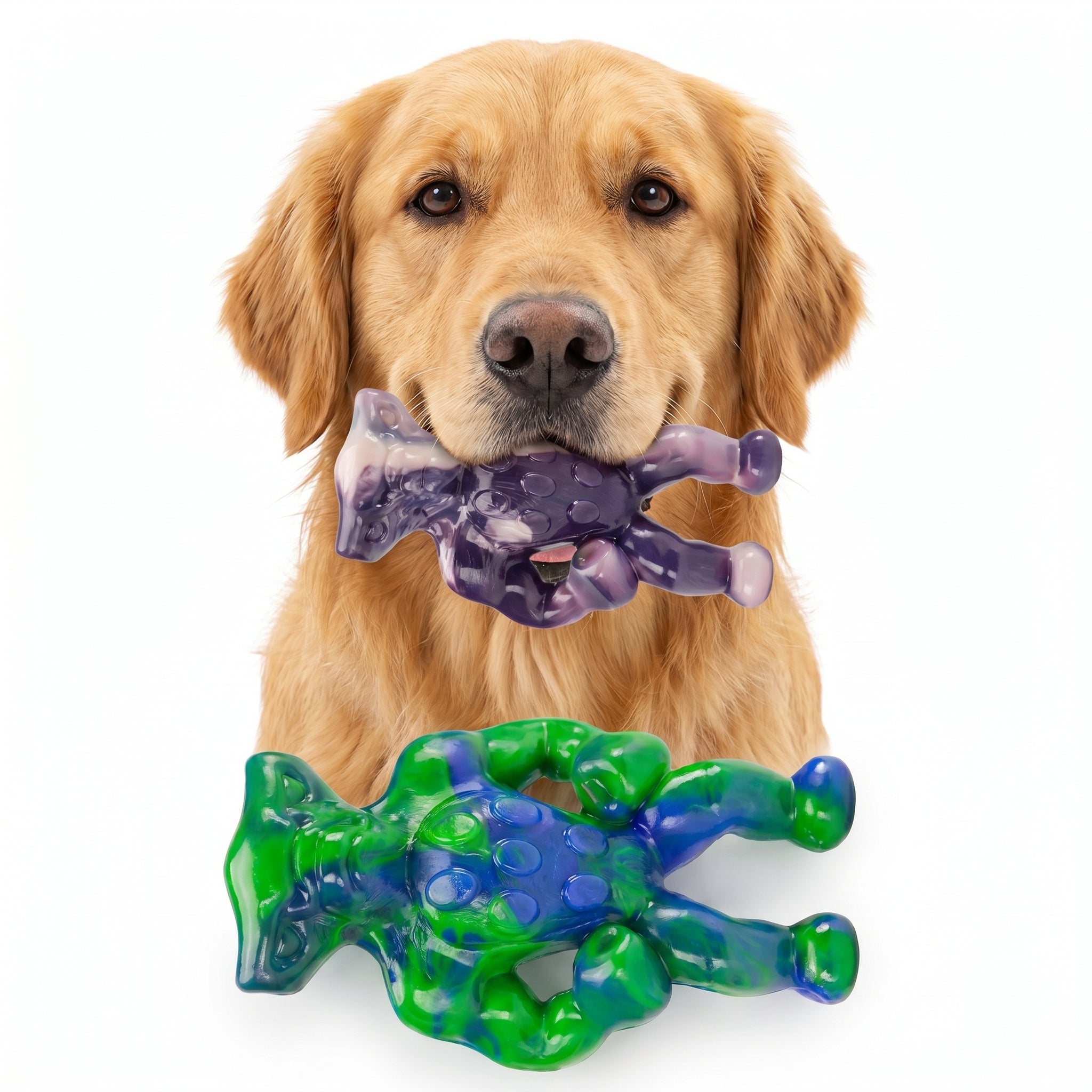 Frienhund Alien Buddies Beef Flavor Tough Nylon Chew Toy, Green & Purple, 2 Count
