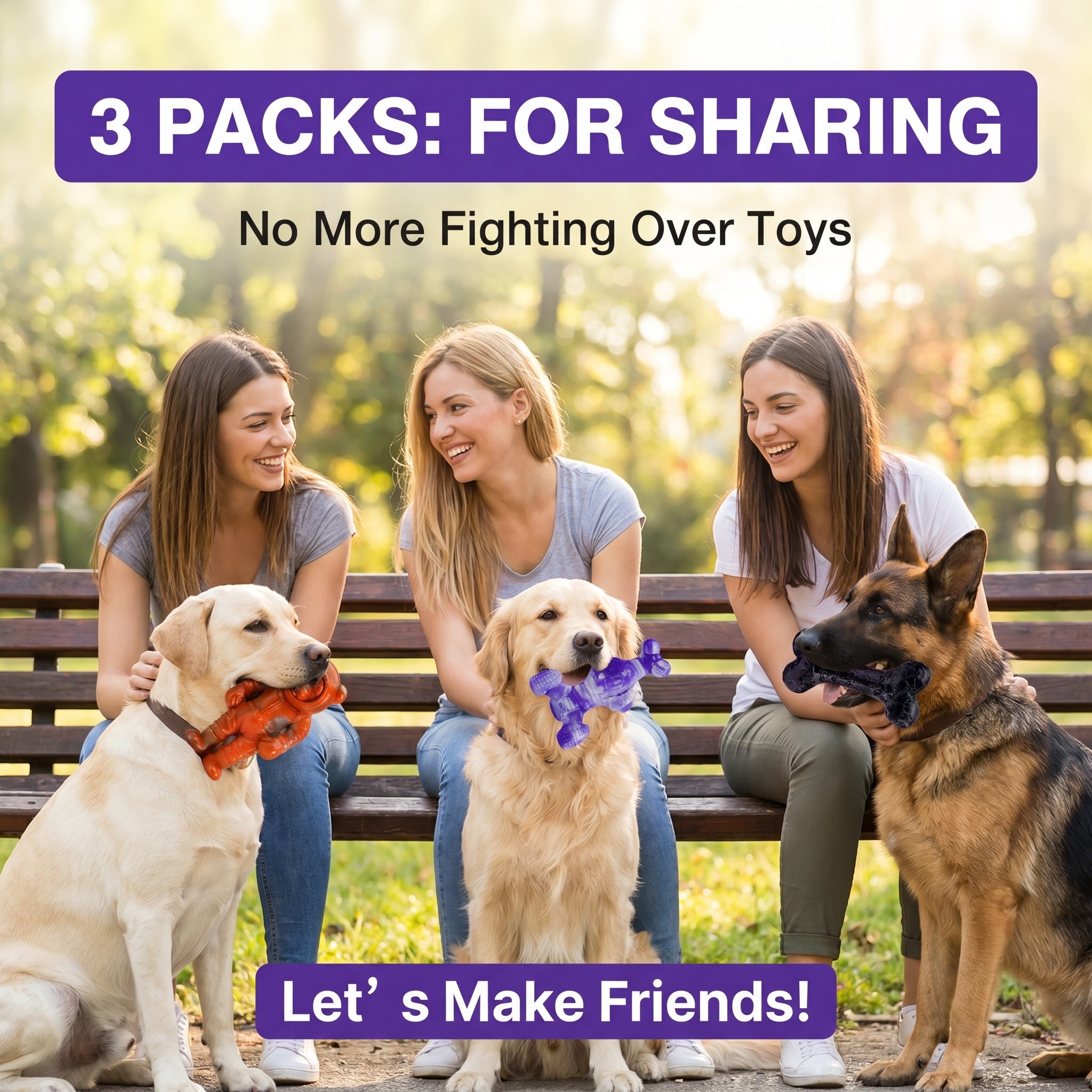 Frienhund Beef Flavor Tough Nylon Dog Chew Toy, Mixed Purple & Blue & Orange, 3 Count