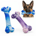 Frienhund Beef Flavor Classic Textured Nylon Chew Bone for Dogs, Purple & Blue, 2 Count