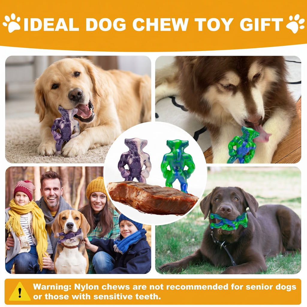 Frienhund Alien Buddies Beef Flavor Tough Nylon Chew Toy, Green & Purple, 2 Count