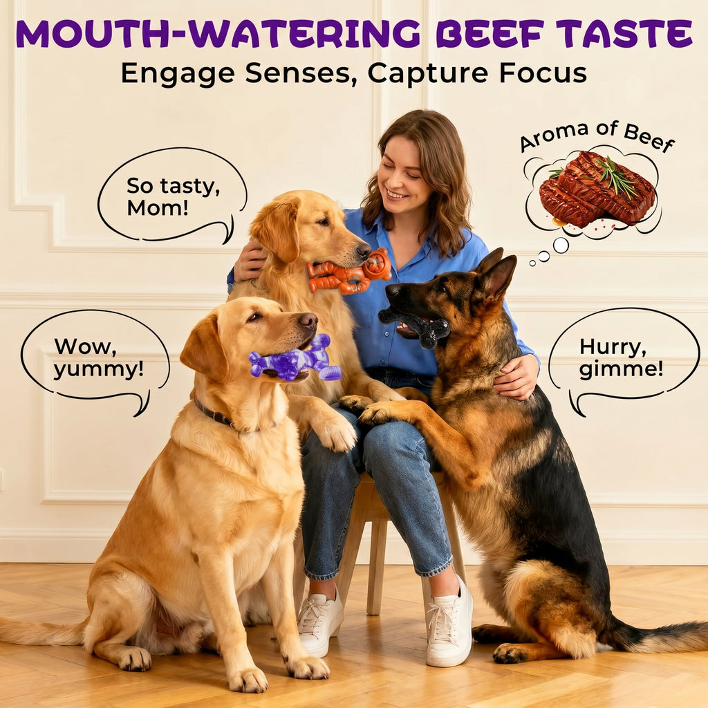 Frienhund Beef Flavor Tough Nylon Dog Chew Toy, Mixed Purple & Blue & Orange, 3 Count
