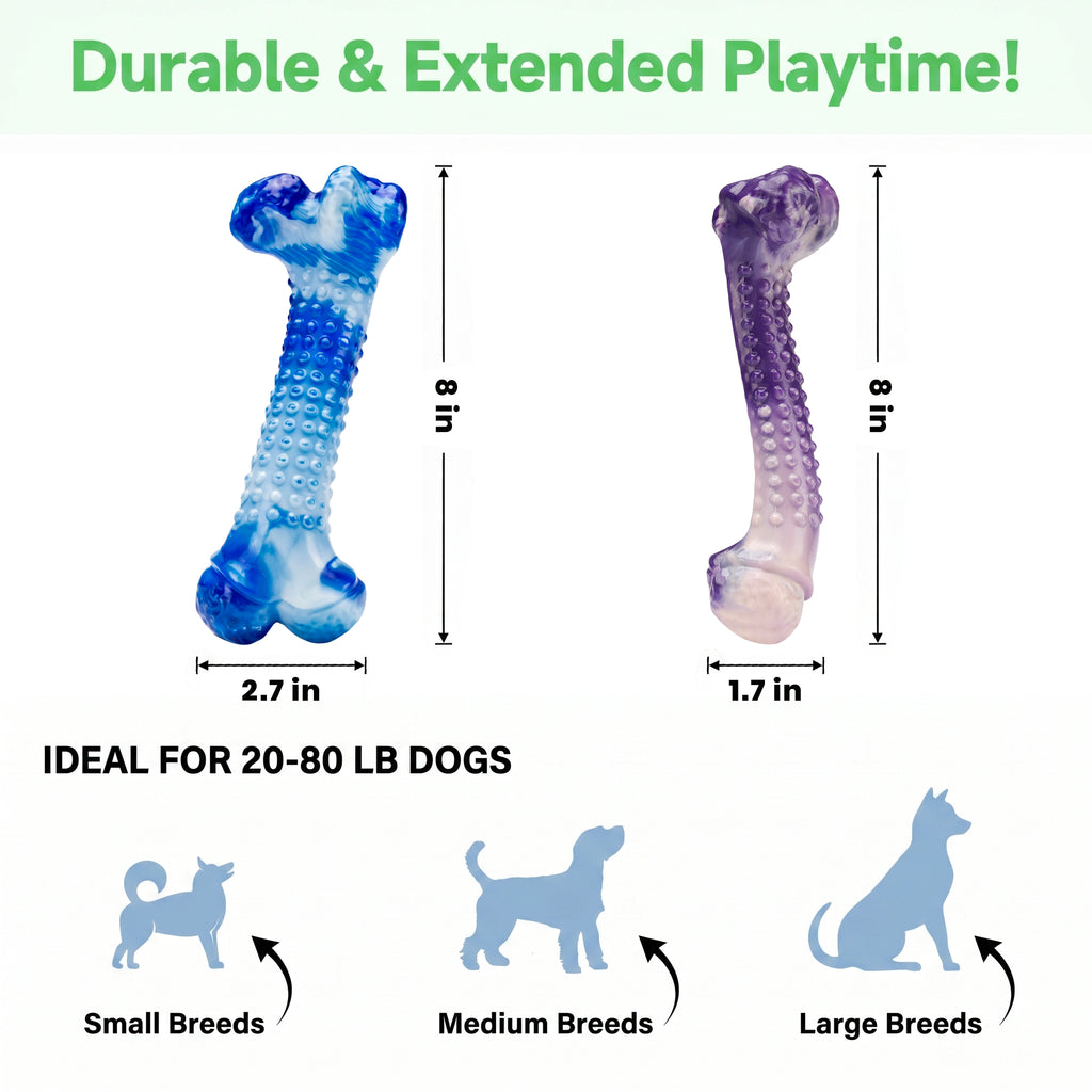 Frienhund Beef Flavor Classic Textured Nylon Chew Bone for Dogs, Purple & Blue, 2 Count