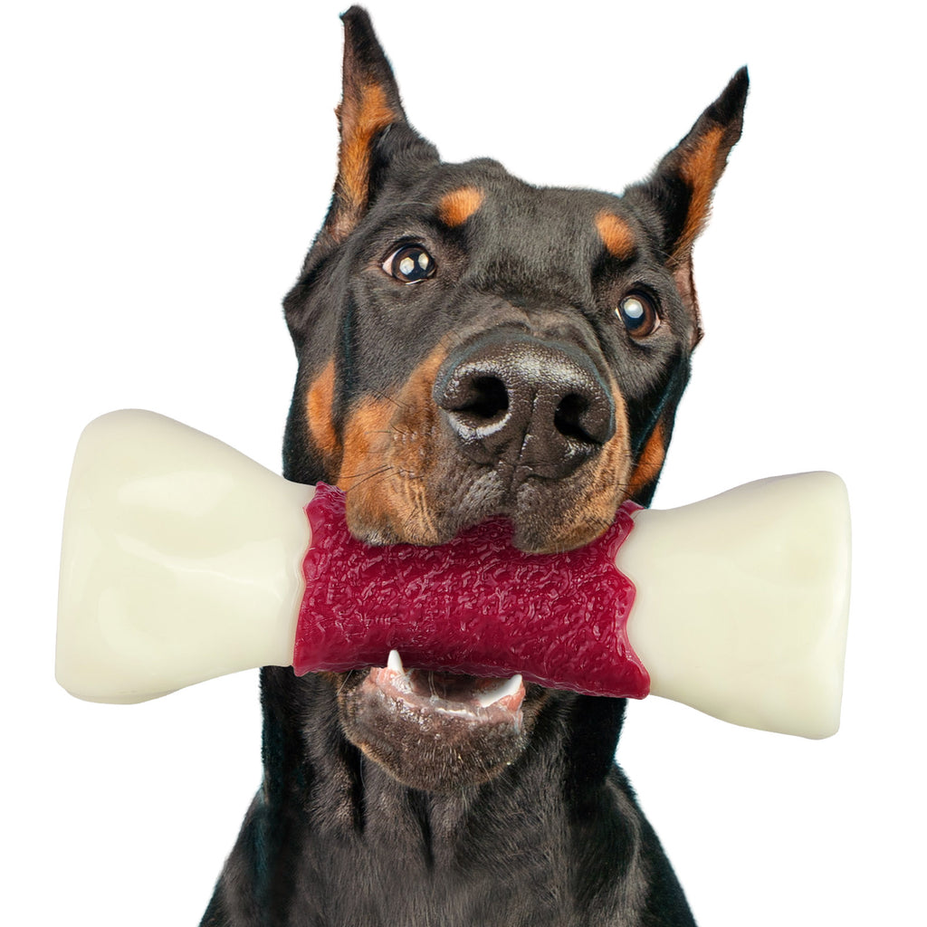 FrienHund Aggressive Chewers Beef Flavor Solid Nylon Chew Bone Dog Toy, Brown, 1 count