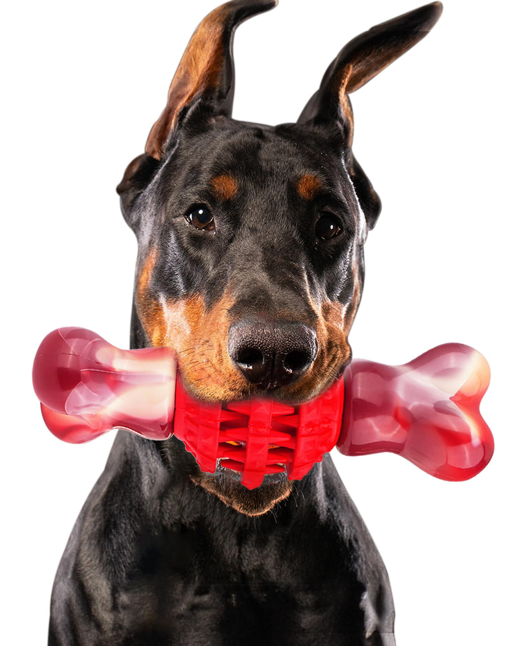 FrienHund Super Chewer Beef Flavor Nylon & Rubber Locking Chew Bone Toy, Pink & Red, 1 count