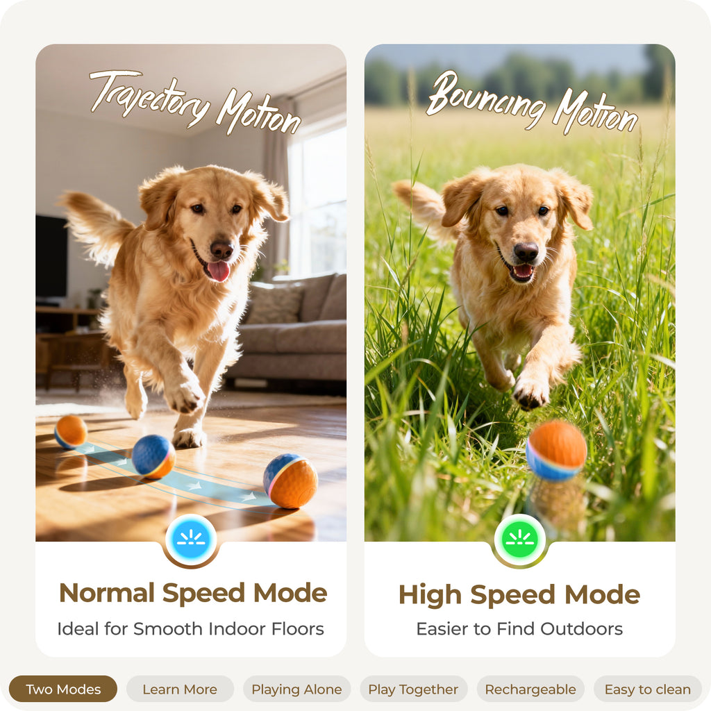 Apasiri Interactive Dog Toy, Shaky Ball Toy for Dogs, Vibrating & Automatic Moving Dog Ball, USB Rechargeable Interactive Training Toy, Durable Chew Ball for Small, Medium & Large Dogs and Cats, 3.74in