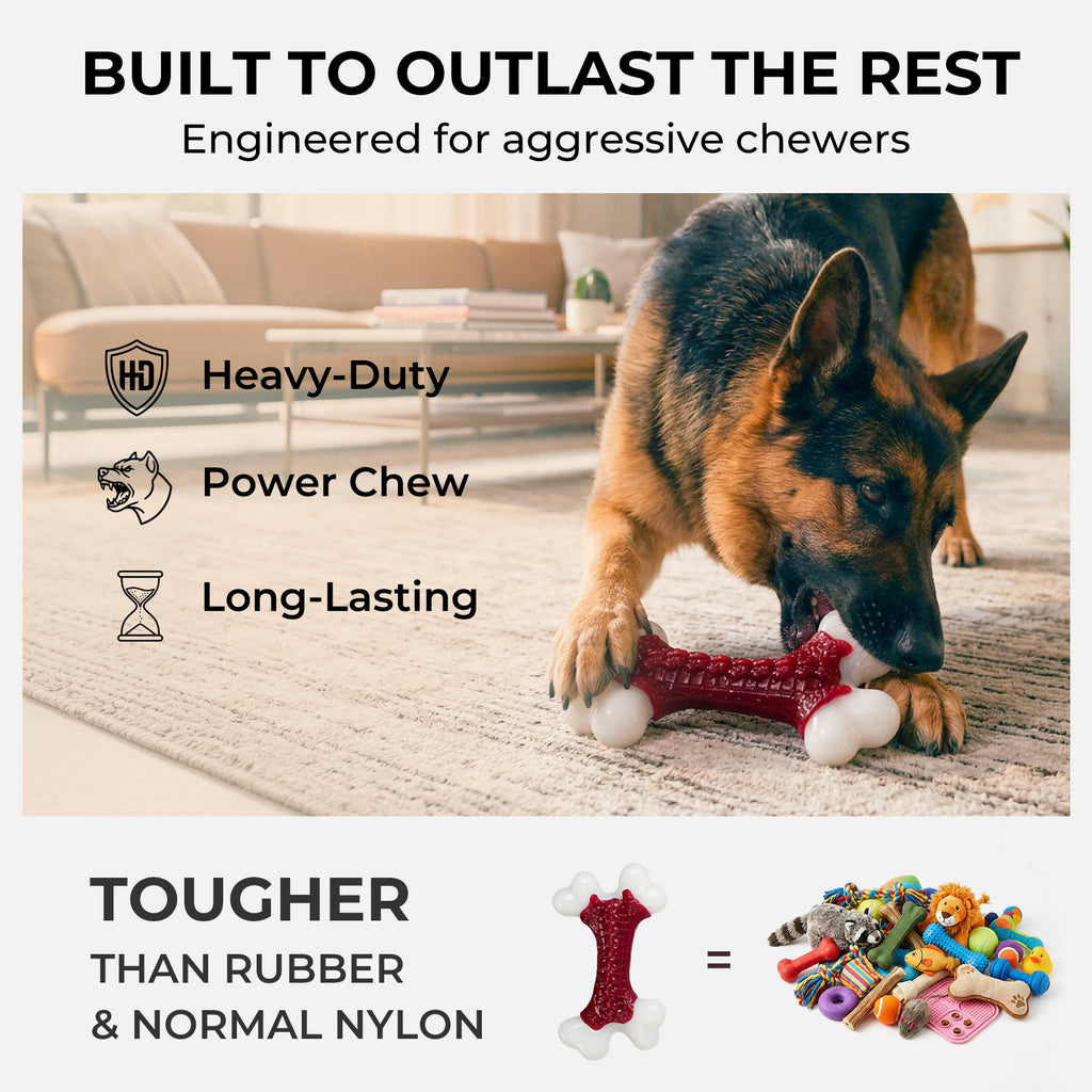 Beef Flavor Hard Nylon Dog Bones for 20-90lbs Medium Large Aggressive Chewers