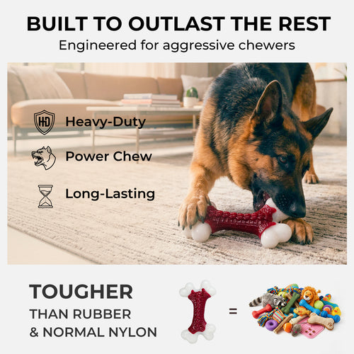 Beef Flavor Hard Nylon Dog Bones for 20-90lbs Medium Large Aggressive Chewers