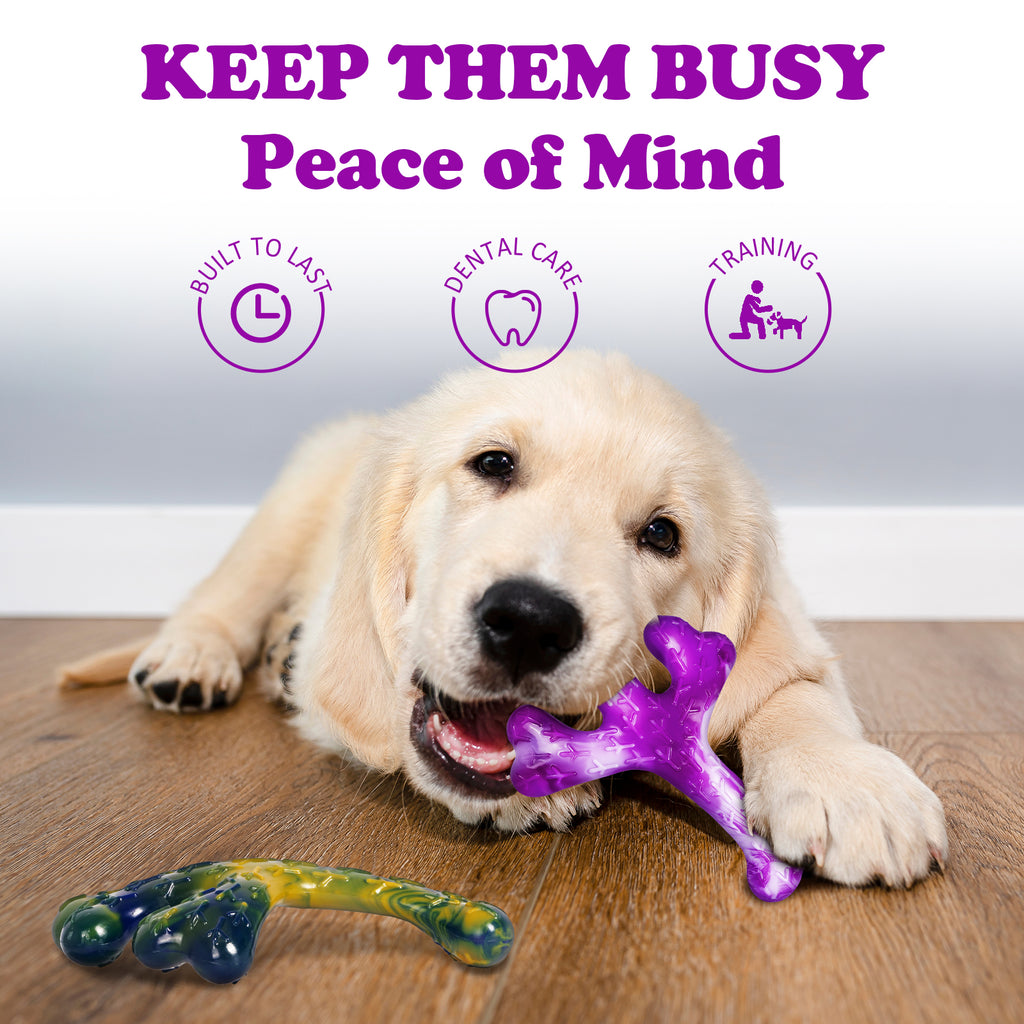 Aggressive Chewers Dog Chew Toys - 2 Pack