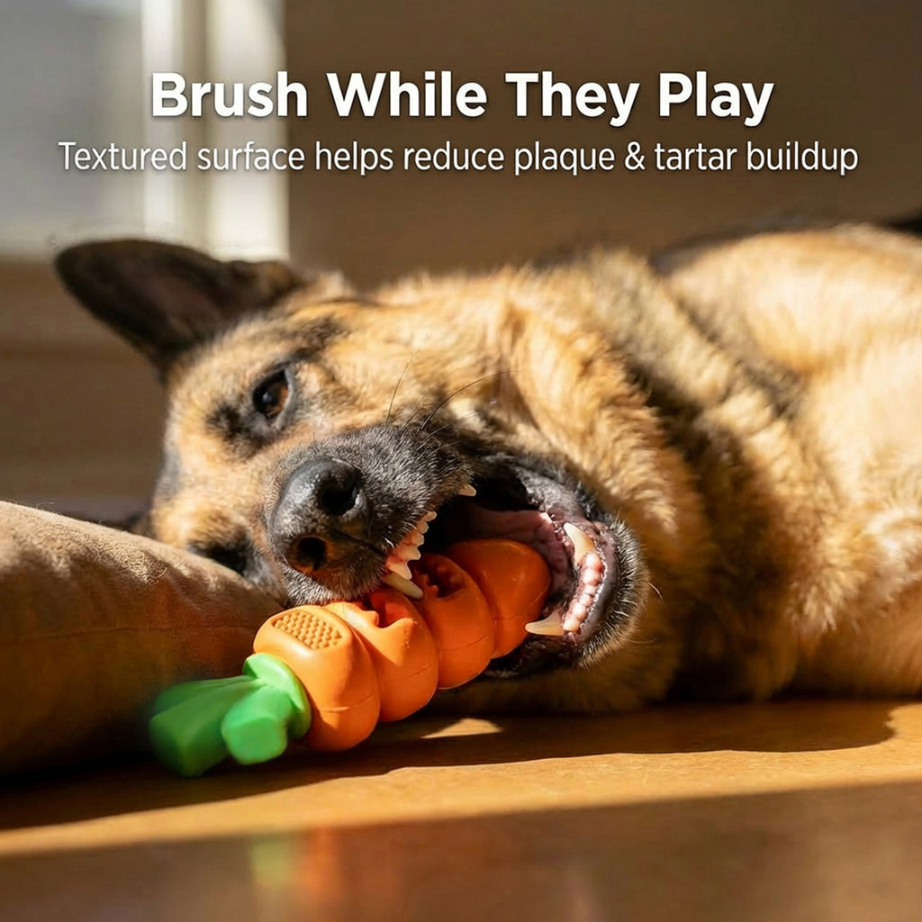 Frienhund Carrot-Shaped Dog Toy for Large Medium Breed 20-70lbs