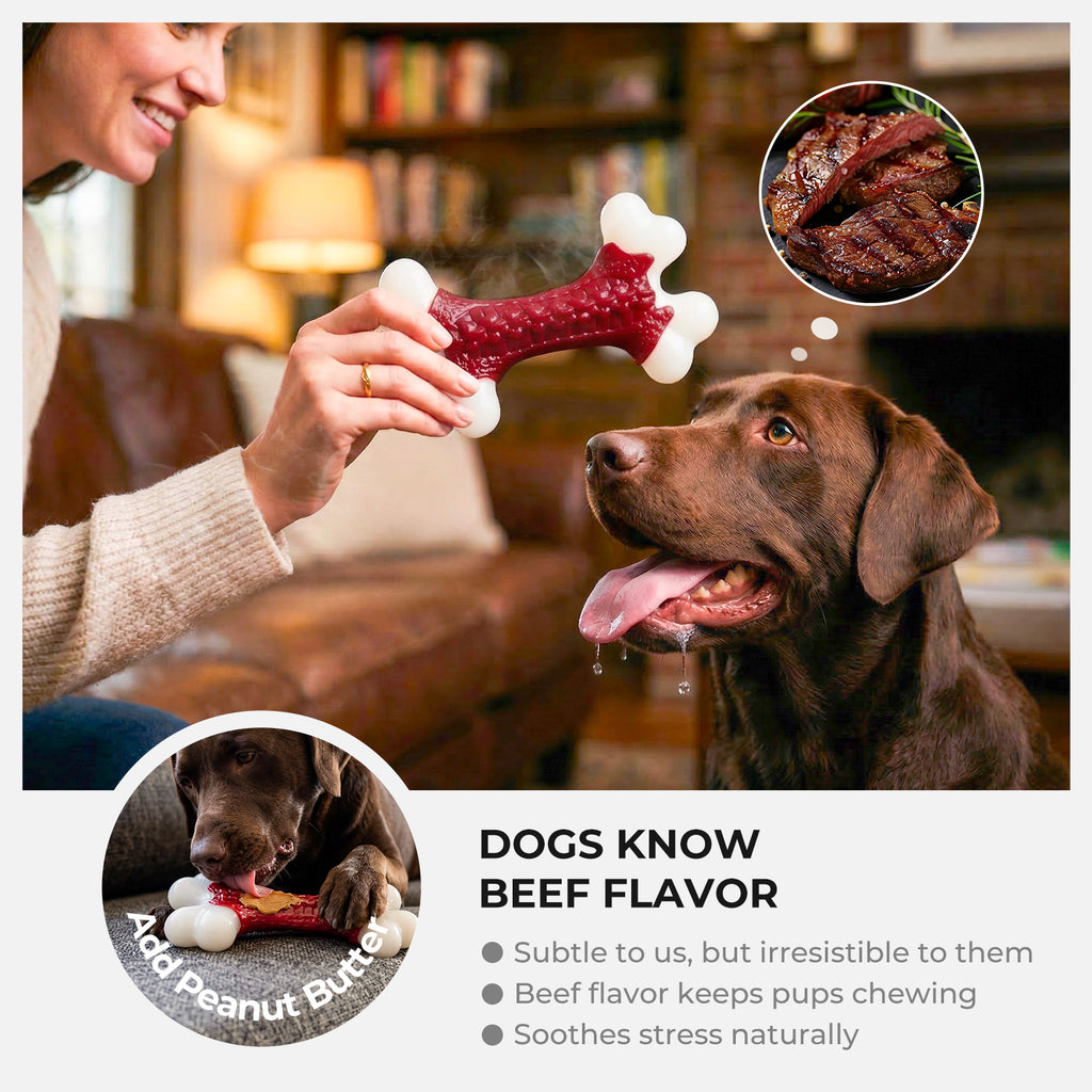 Beef Flavor Hard Nylon Dog Bones for 20-90lbs Medium Large Aggressive Chewers