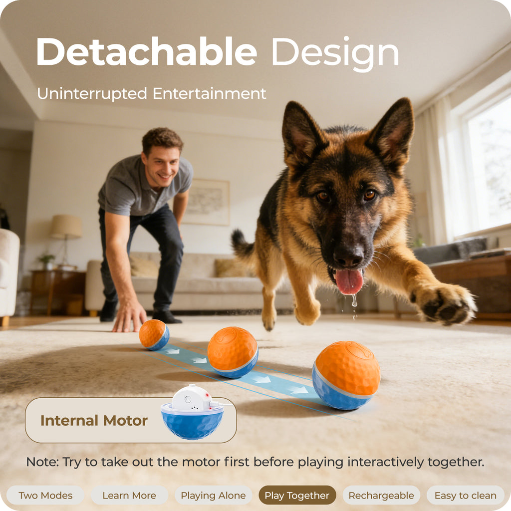 Apasiri Interactive Dog Toy, Shaky Ball Toy for Dogs, Vibrating & Automatic Moving Dog Ball, USB Rechargeable Interactive Training Toy, Durable Chew Ball for Small, Medium & Large Dogs and Cats, 3.74in