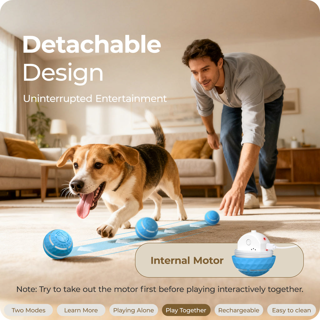 Apasiri Interactive Dog Toy, Shaky Ball Toy for Dogs, Vibrating & Automatic Moving Dog Ball, USB Rechargeable Interactive Training Toy, Durable Chew Ball for Small, Medium & Large Dogs and Cats, 3.15in