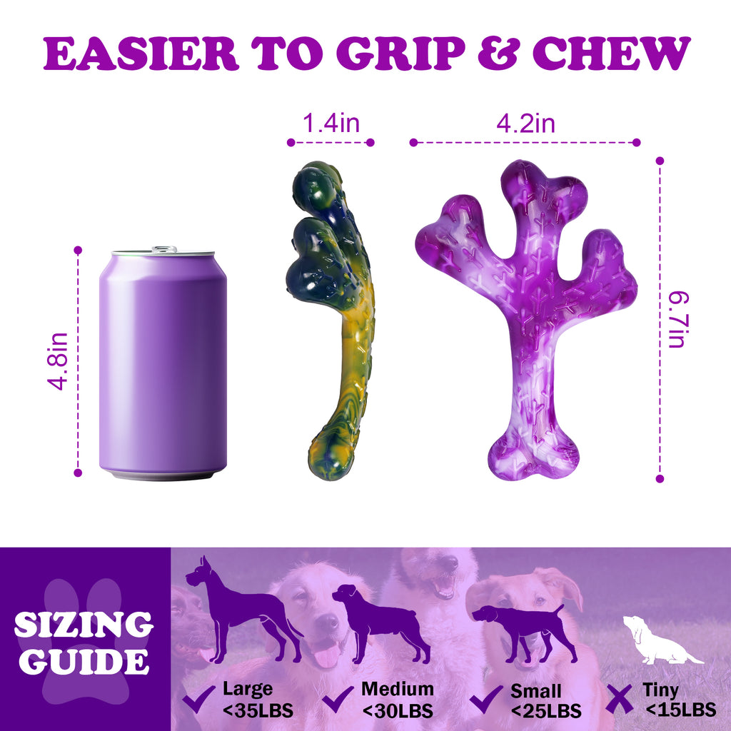 Aggressive Chewers Dog Chew Toys - 2 Pack