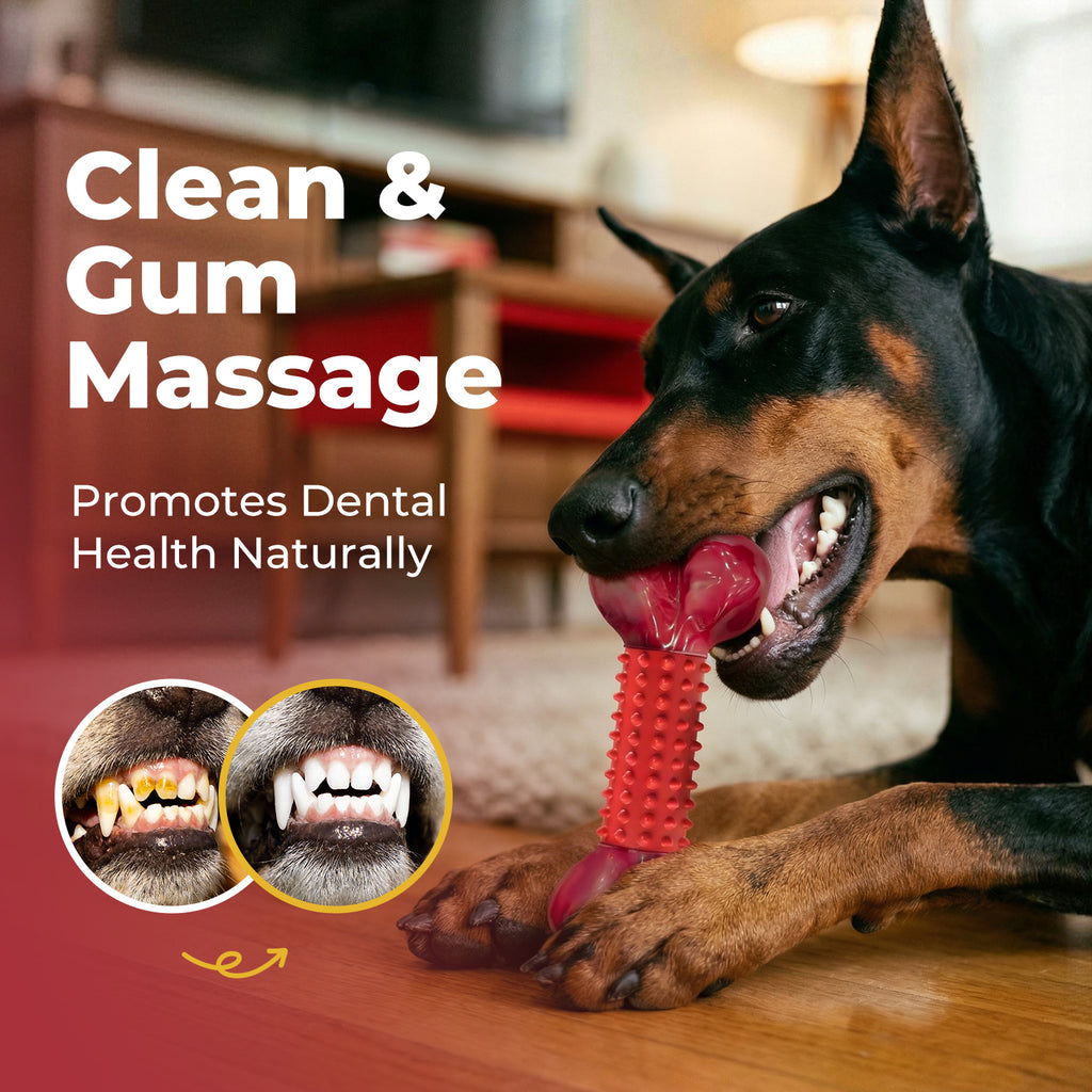 Tough Dog Toys for Aggressive Chewers Beef Flavor: 8" Dog Chew Bone for Large Breed, Nylon & Rubber Chew Toy for Medium Large Dogs