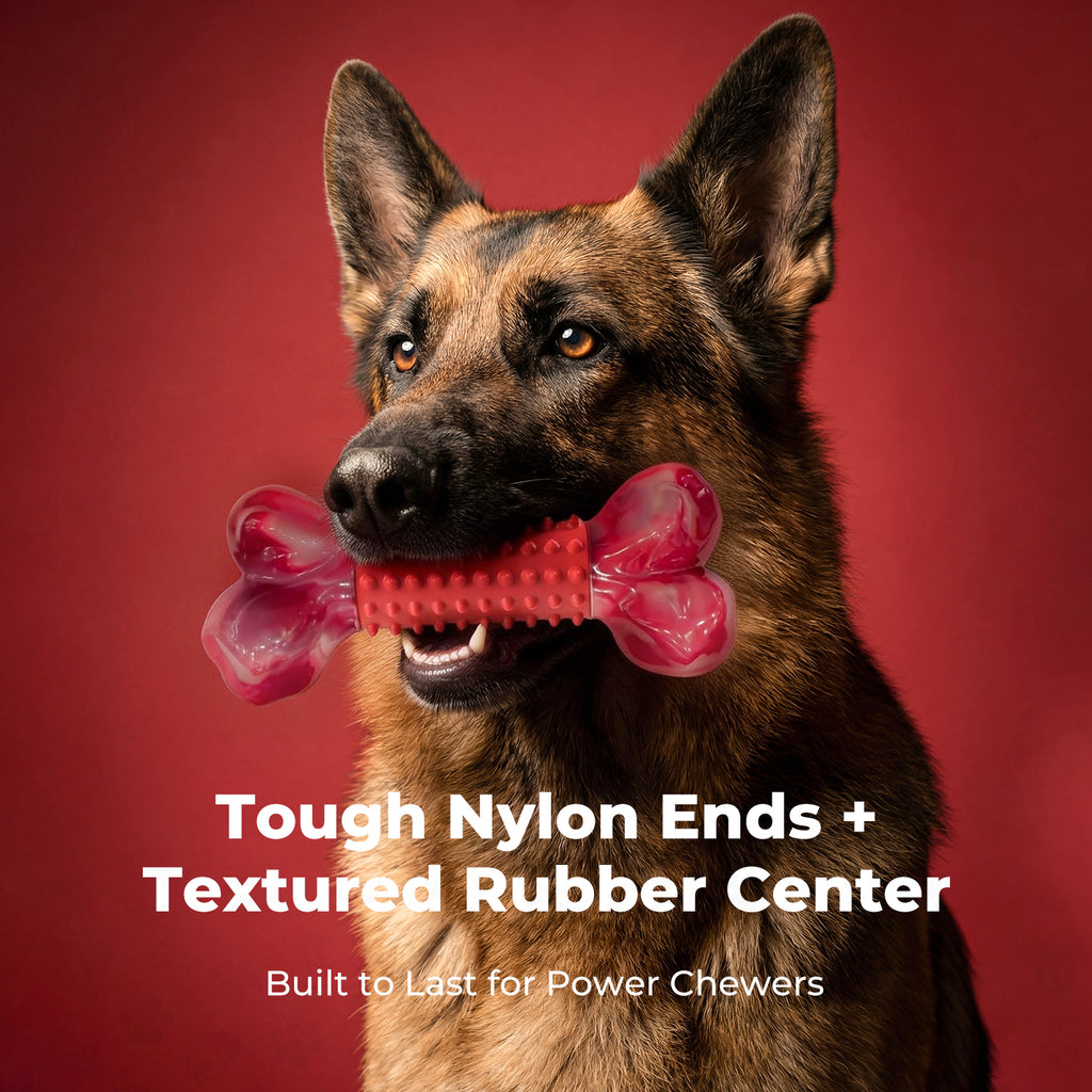 Tough Dog Toys for Aggressive Chewers Beef Flavor: 8" Dog Chew Bone for Large Breed, Nylon & Rubber Chew Toy for Medium Large Dogs